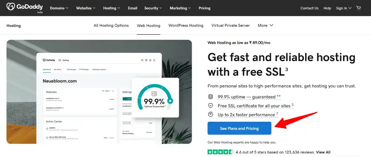godaddy web hosting solution