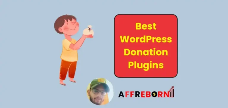 best wordpress donation plugins