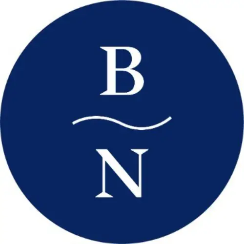 blue nile logo